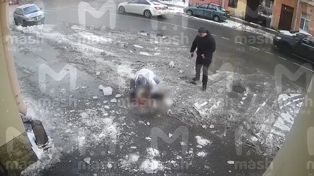 глыба льда убила собаку на глазах 13-летнего ребёнка