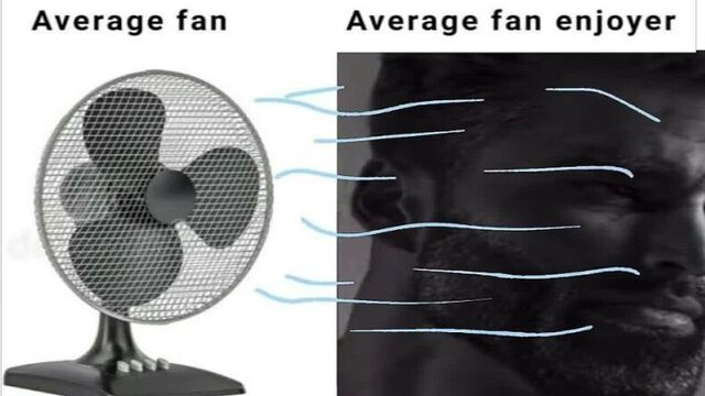 average fan vs average fan enjoyer