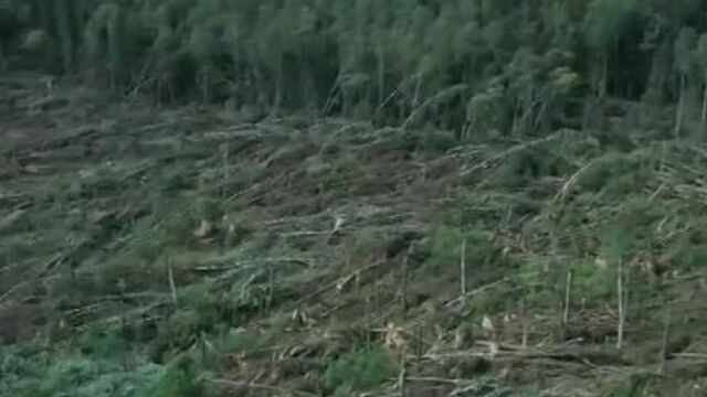 Video by Подслушано Верхнедвинск
