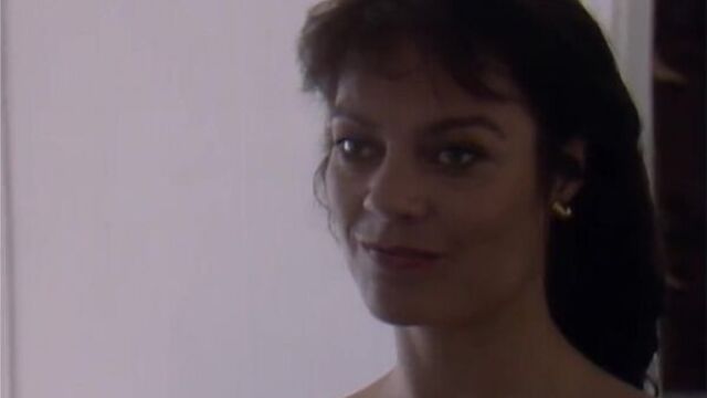 Lena Meriläinen (Merilainen) Nude - Matkalaukkukostaja - s01e01 (FI 1993) Watch Online / Лена Мерилайнен