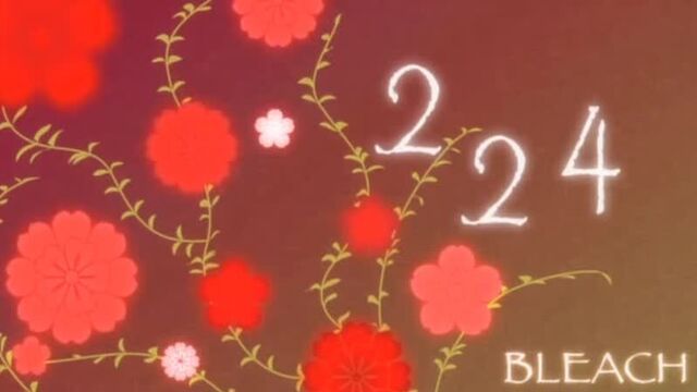 Блич 224 серия (Озвучка СВ-Дубль)