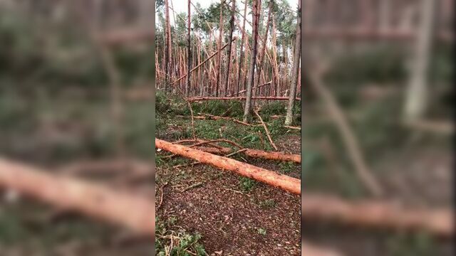 Video by Сарафанное радио_Осташков