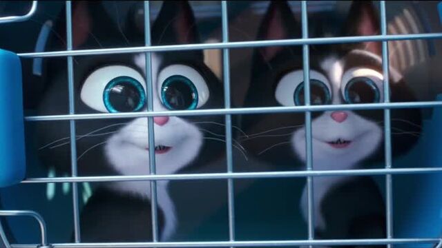 Тайная жизнь домашних животных 2 / The Secret Life of Pets 2 - трейлер №1 (дубляж)