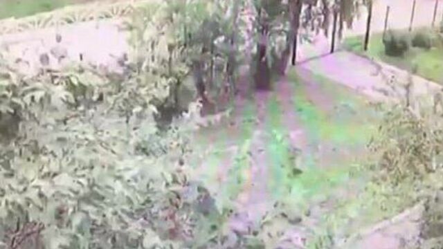 В Первоуральске пьяная мать сбила пешехода