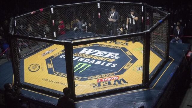 Бой кыргыза в Бразилии, Вызов псевдо-чемпиона, WEF PROFFIGHT-12, Кыргызстан в Time to fight