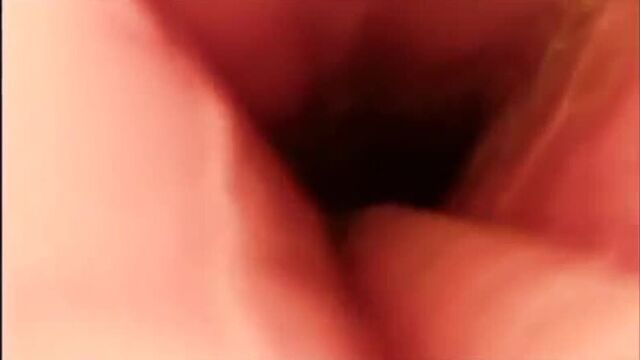 Snake vore