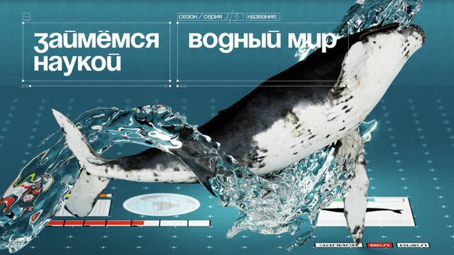 Водный мир