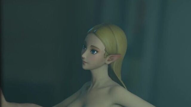 princess zelda zelda (breath of the wild) rule 34
