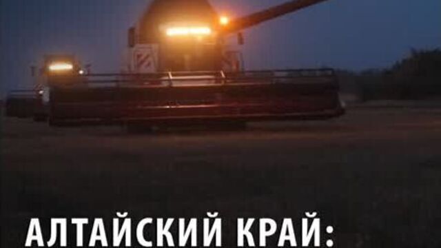 Алтайский край: ночная жизнь полей
