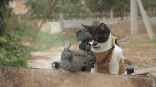 КОТЫ против Зомби Прикол (Cats vs Zombies) Фильмы Ужасов