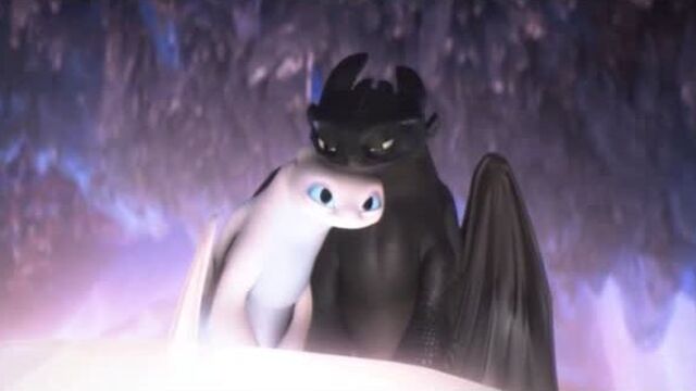 Toothless x Light Fury