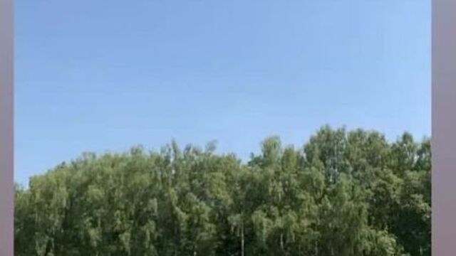 Валиева