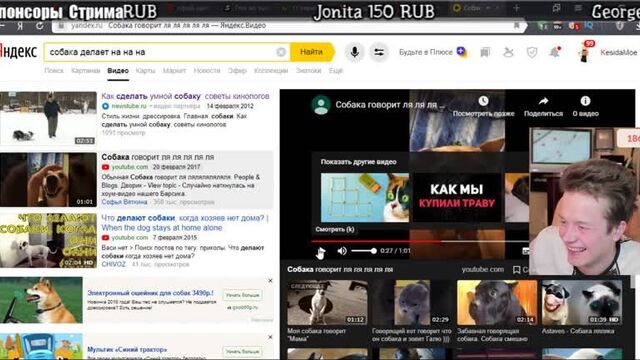 собака ляляля и гиена ржот