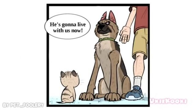 Pixie and Brutus - часть 1 (1)