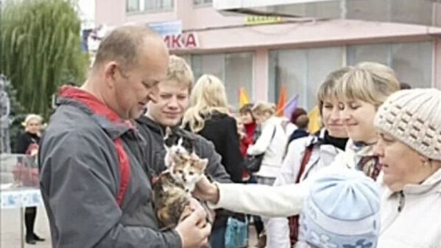 АКЦИЯ "пОДАРИ ИМ ШАНС"