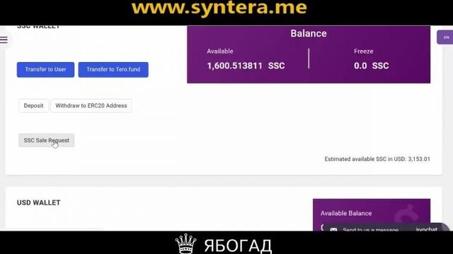 SYNTERA SHARING COIN TEROFUND ПОНИМАНИЕ ДВИЖЕНИЯ ЦЕНЫ НА КРИПТОВАЛЮТЕ ОБЗОР