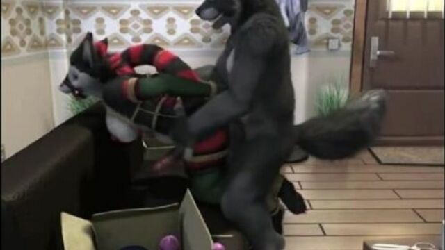 yiff 28