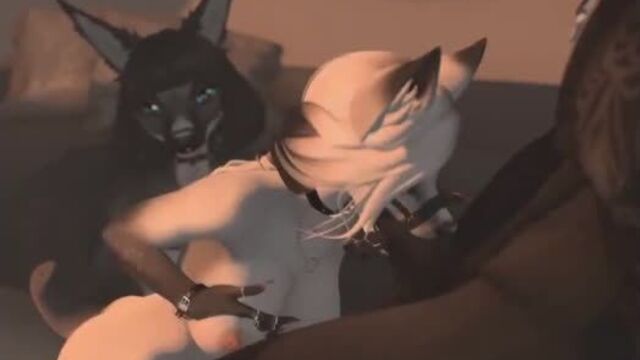 Furry yiff 149
