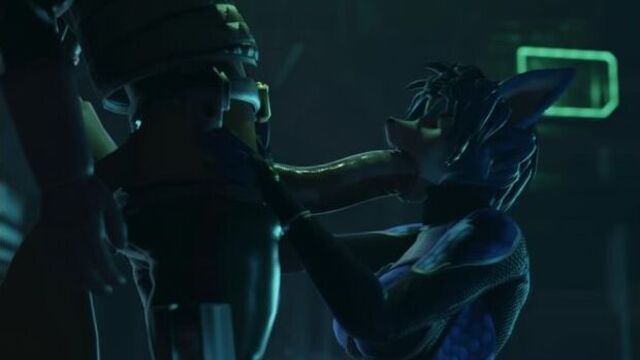 Furry yiff fox krystal blowjob 3