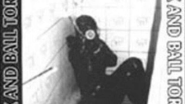 Brutal Gore and Porn Grind