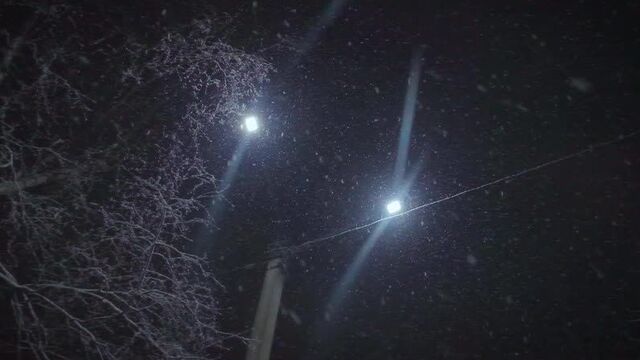 Погода Смоленск | Зима которую мы заслужили