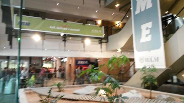 International University of Languages & Media... My IULM ❤