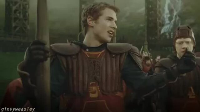 Cormac McLaggen vs Ron Weasley | Harry Potter vine