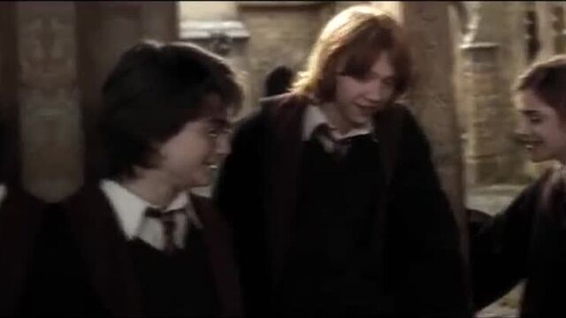 harry potter x ron weasley x hermione granger vine edit | the golden trio