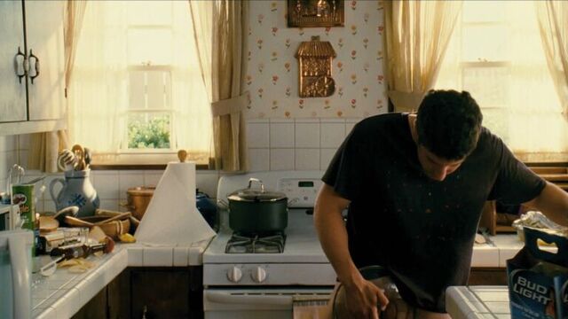 American Reunion (Jason Biggs)