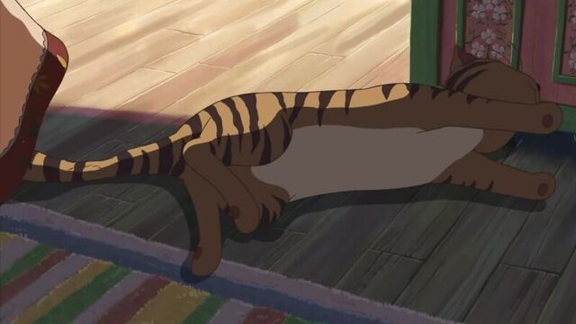 anime.webm Neko no Shuukai