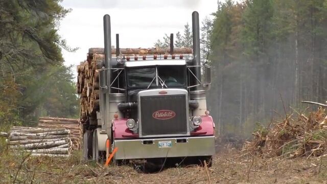 peterbilt 359 лесовоз
