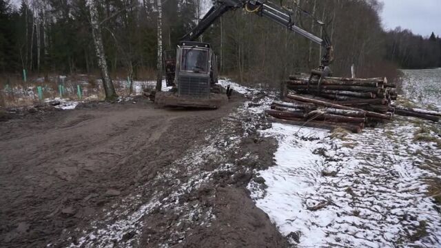 logset