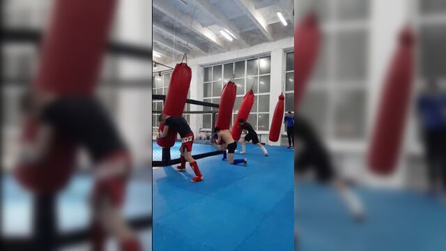 Live: ММА ДОСААФ ТОМСК Смешанное Боевое Единоборство