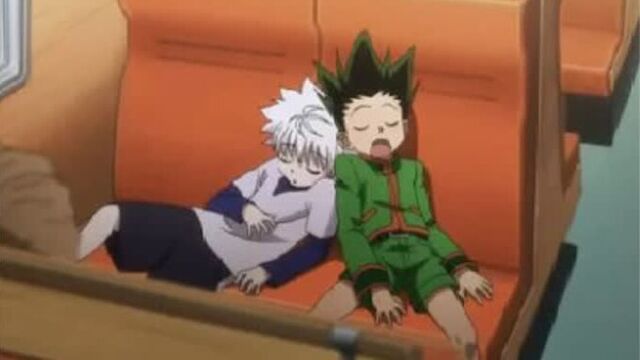 ⊱ killua zoldyck & gon freecss | hunter x hunter