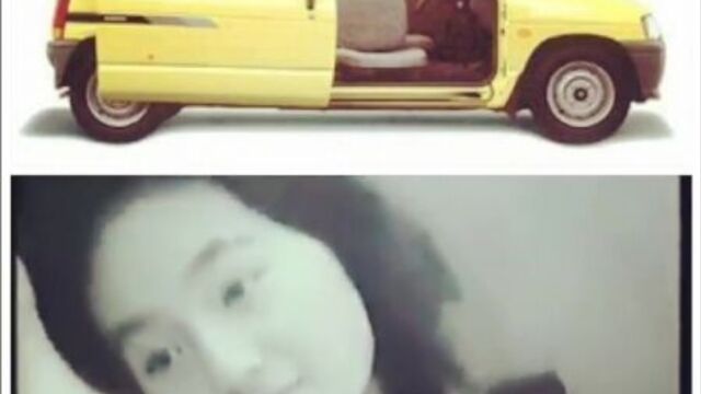 Suzuki Alto 550 Ib-S slideslim Commerical