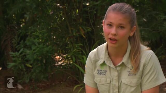 Bindi Robert Irwin feature - Dingos - (Mia) Growing Up Wild