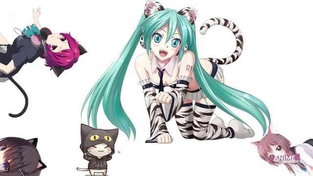 LOLI NEKO TRAPS