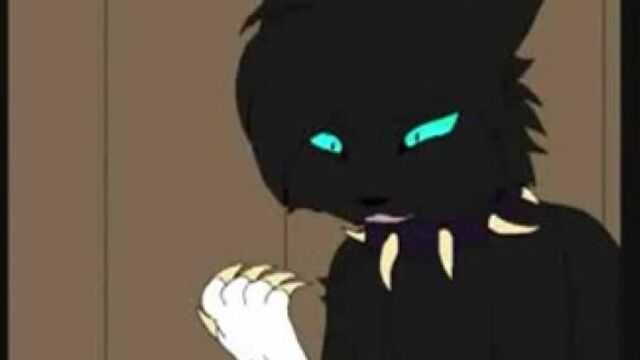 Warriors Cats Scourge Коты Воители Бич Faint