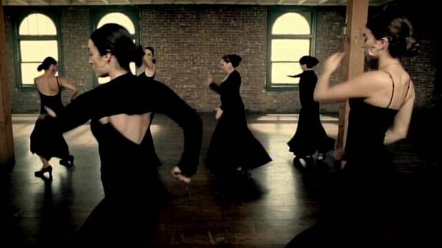 Iron and Wine - Boy with a Coin [OFFICIAL VIDEO]
