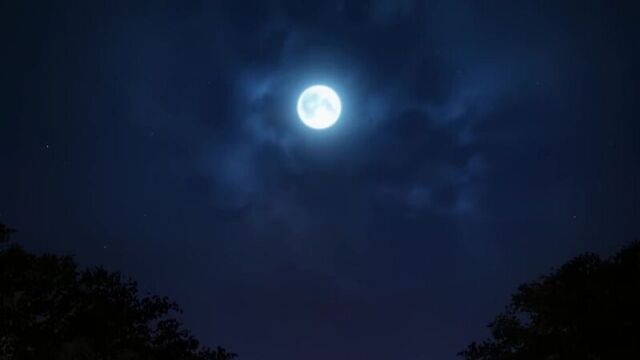 Tsukihime -A Piece of Blue Glass Moon- (Tsukihime Remake) 1 PV