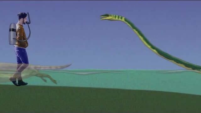 Mario Lanzas -Size Comparison 2_ Aquatic Dinosaurs, Reptiles and Mammals of prehistory
