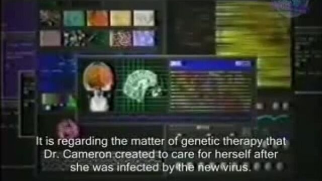 Biohazard 4D Executer