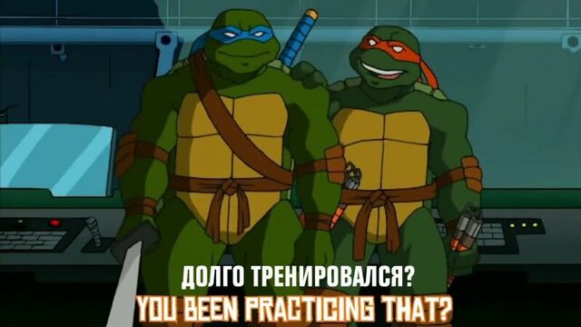 TMNT 2003 - Old School Leonardo /kapral production