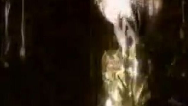 Blu Sistem- Only with you