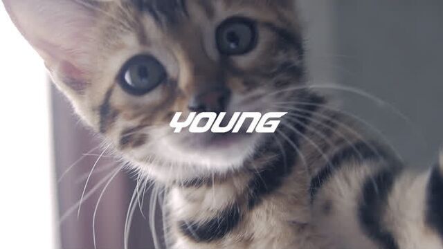 YOUNG MOM - Молодая мама