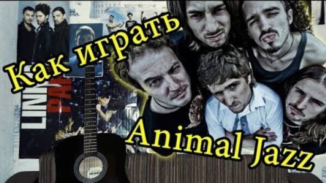 Animal ДжаZ - Три Полоски (Видео Урок Как Играть На Гитаре) Разбор