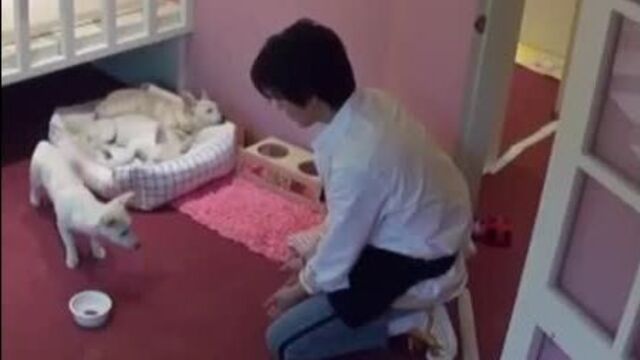 If only everyone had an ounce of the same compassion for their fellow man as Hanbin does f