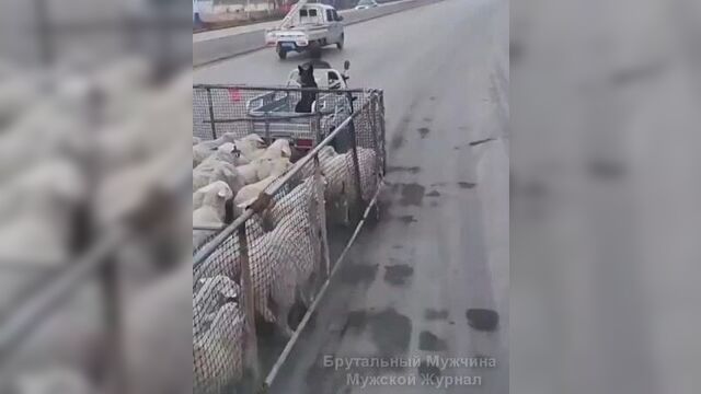 Современные проблемы требуют современных решений.