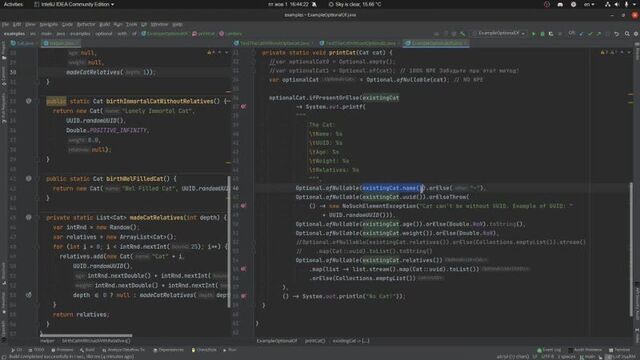 Java Optional — попытка избежать NullPoinerException.