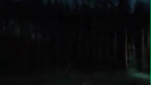 Sirenhead.mp4
